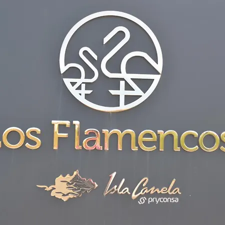 Flamencos Excellent & Solmares * Isla Canela
